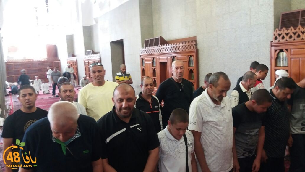 mot3tmren yaffaja (9).jpg